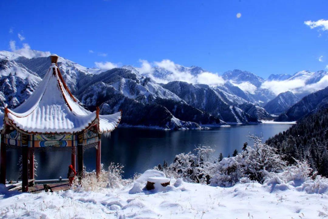 拯救红松鼠